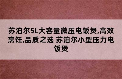 苏泊尔5L大容量微压电饭煲,高效烹饪,品质之选 苏泊尔小型压力电饭煲